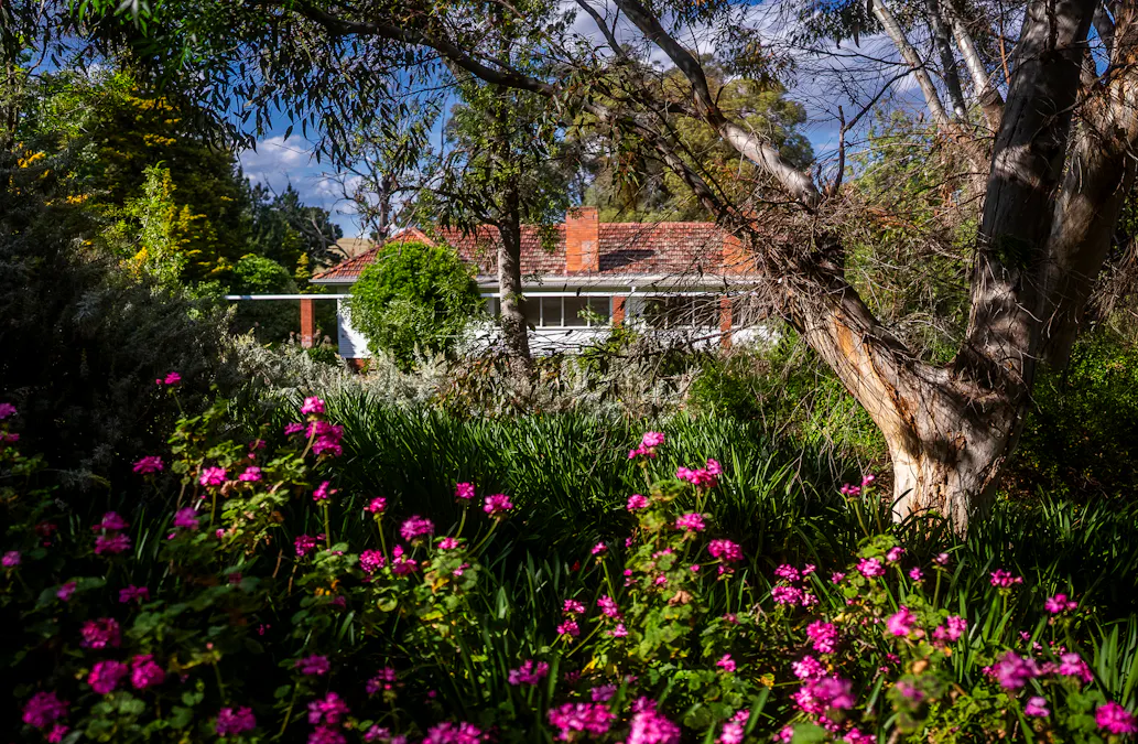 'Burley' 8394 Mid Western Highway, Woodstock, NSW, 2793 - Image 15