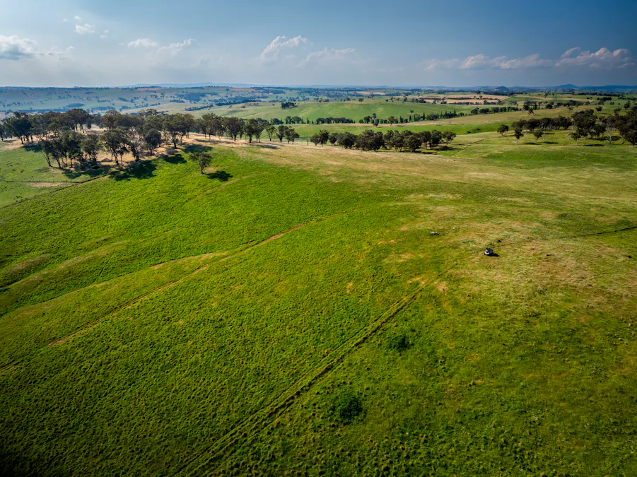 'Burley' 8394 Mid Western Highway, Woodstock, NSW, 2793 - Image 26