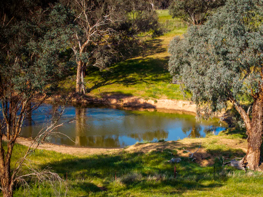 'Burley' 8394 Mid Western Highway, Woodstock, NSW, 2793 - Image 27