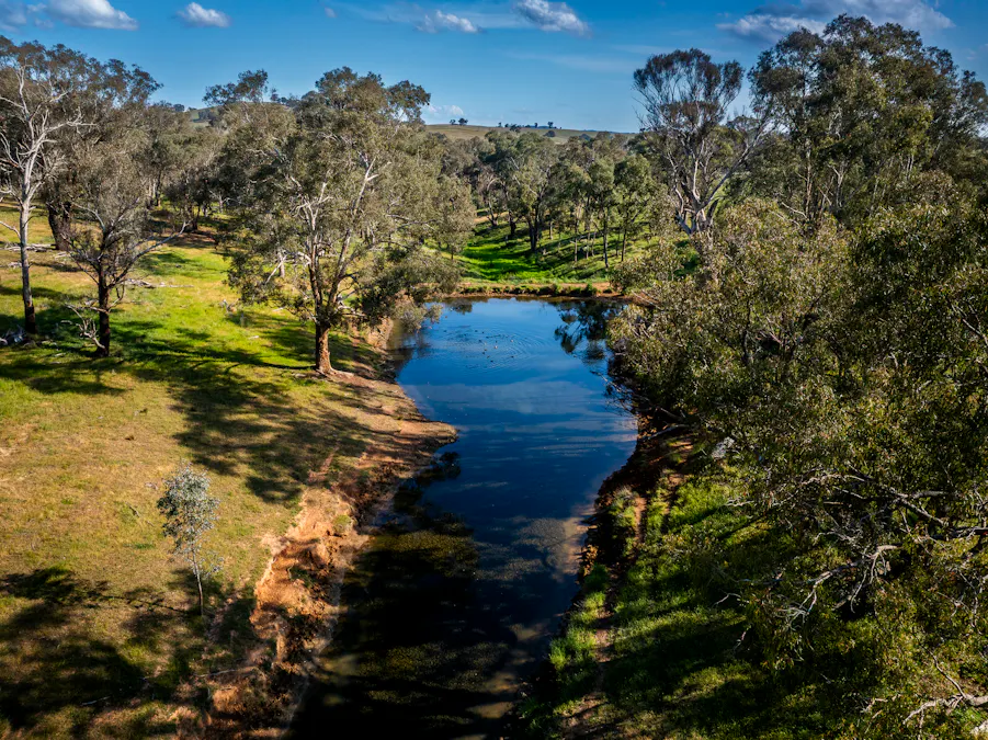 'Burley' 8394 Mid Western Highway, Woodstock, NSW, 2793 - Image 28