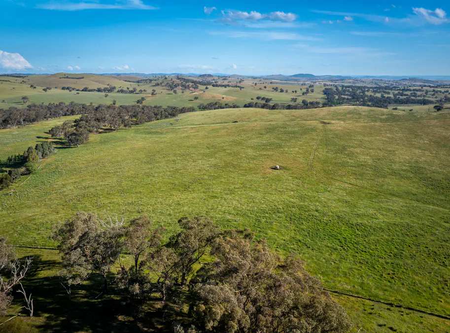 'Burley' 8394 Mid Western Highway, Woodstock, NSW, 2793 - Image 31