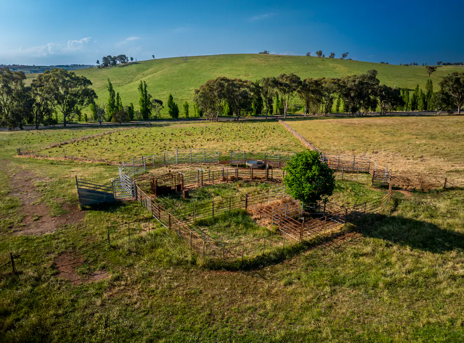 'Burley' 8394 Mid Western Highway, Woodstock, NSW, 2793 - Image 34