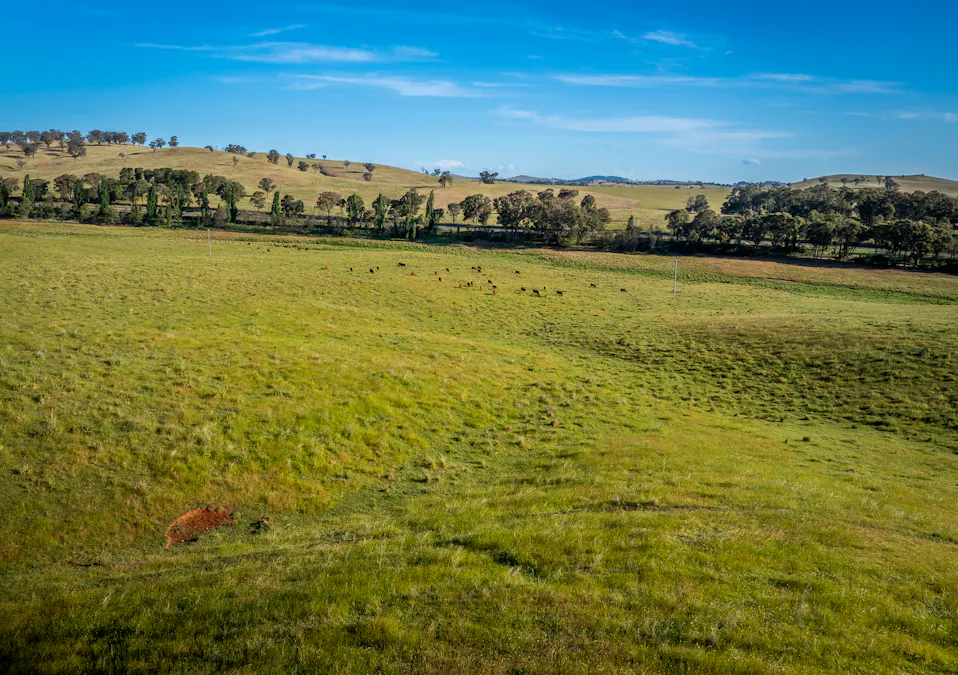 'Burley' 8394 Mid Western Highway, Woodstock, NSW, 2793 - Image 35
