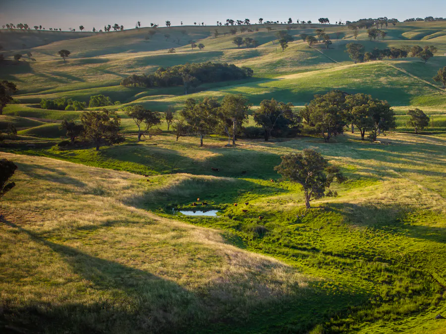'Burley' 8394 Mid Western Highway, Woodstock, NSW, 2793 - Image 33