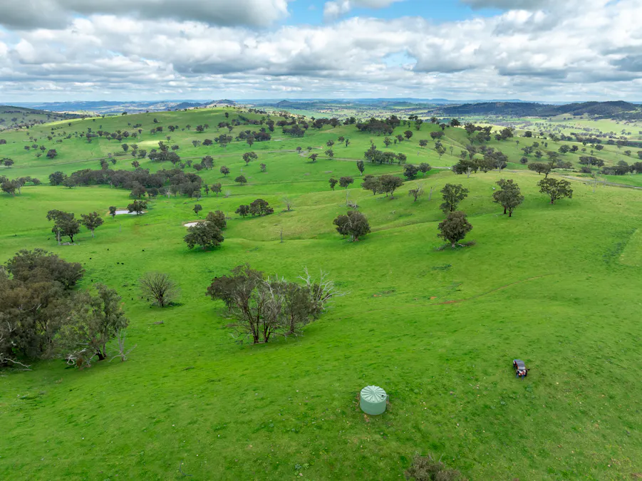 1079 Reg Hailstone Way, Woodstock, NSW, 2538 - Image 9