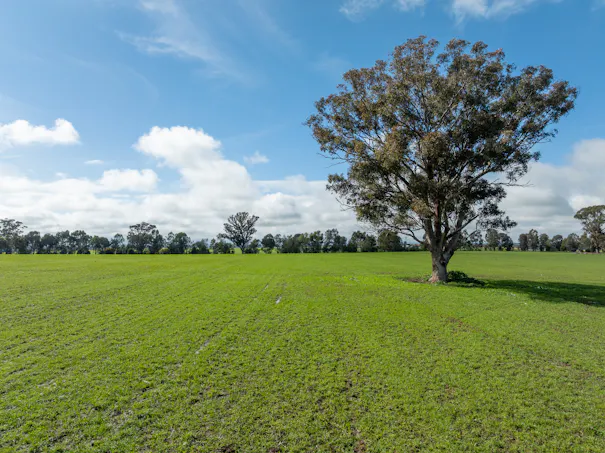 Lot 1 Sheep Station Road, Cowra, NSW, 2794