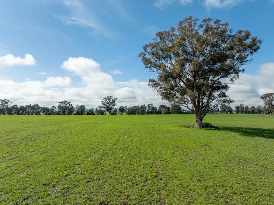 Lot 1 Sheep Station Road, Cowra, NSW, 2794 - Image 1