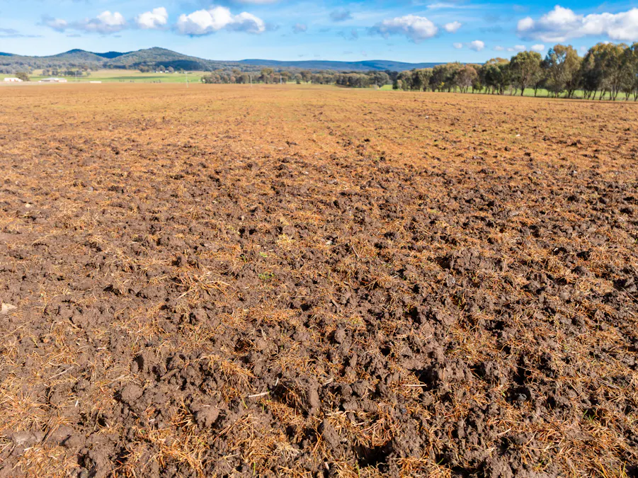 Lot 1 Sheep Station Road, Cowra, NSW, 2794 - Image 3