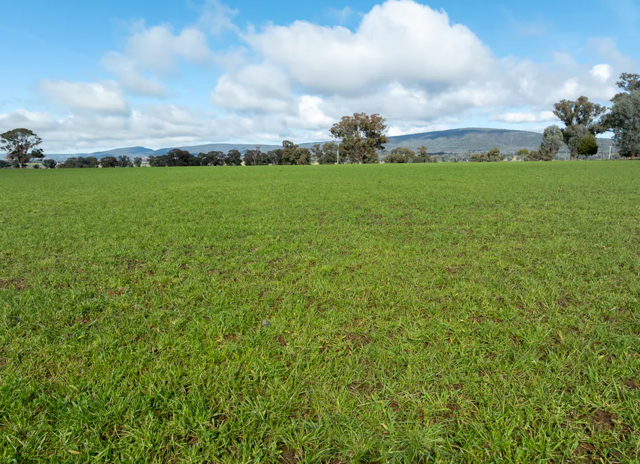 Lot 1 Sheep Station Road, Cowra, NSW, 2794 - Image 4