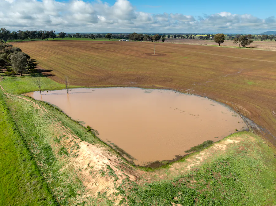 Lot 1 Sheep Station Road, Cowra, NSW, 2794 - Image 5