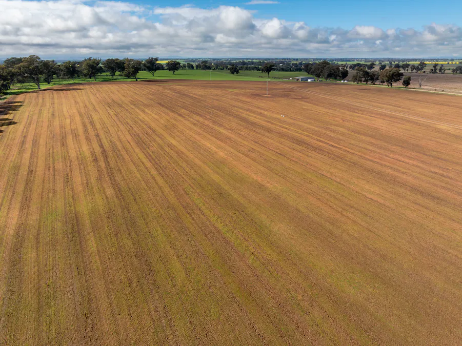 Lot 1 Sheep Station Road, Cowra, NSW, 2794 - Image 6