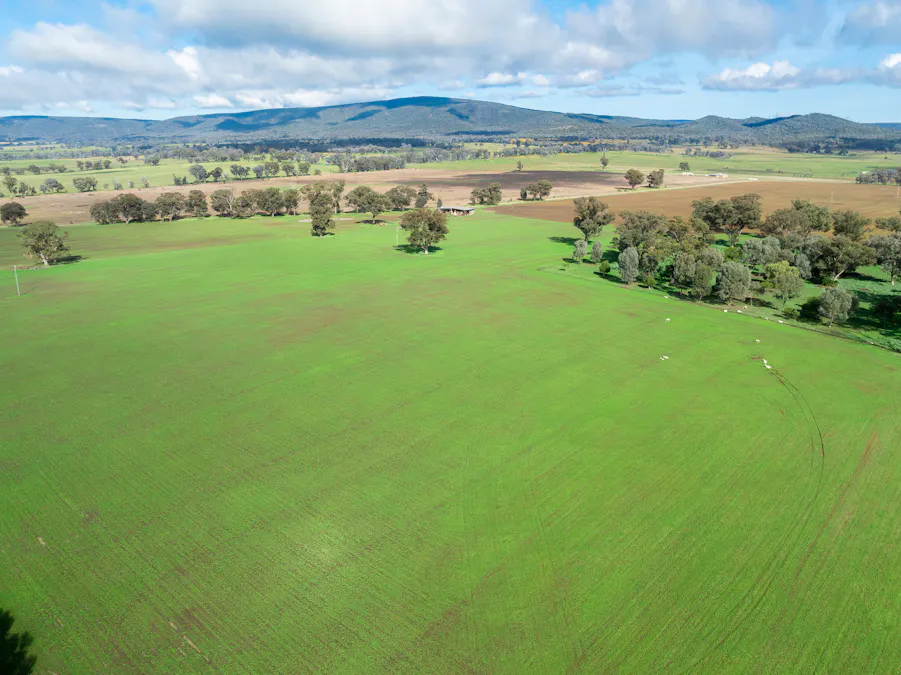 Lot 1 Sheep Station Road, Cowra, NSW, 2794 - Image 7