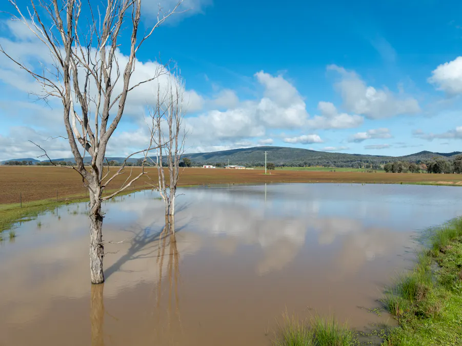 Lot 1 Sheep Station Road, Cowra, NSW, 2794 - Image 8