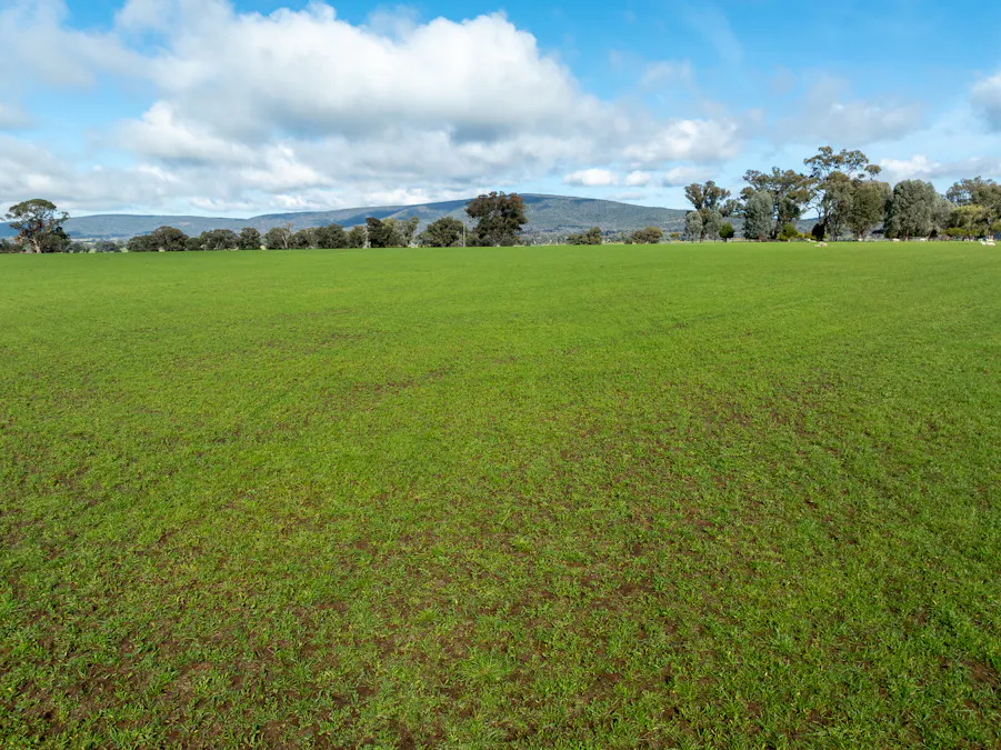 Lot 1 Sheep Station Road, Cowra, NSW, 2794 - Image 9