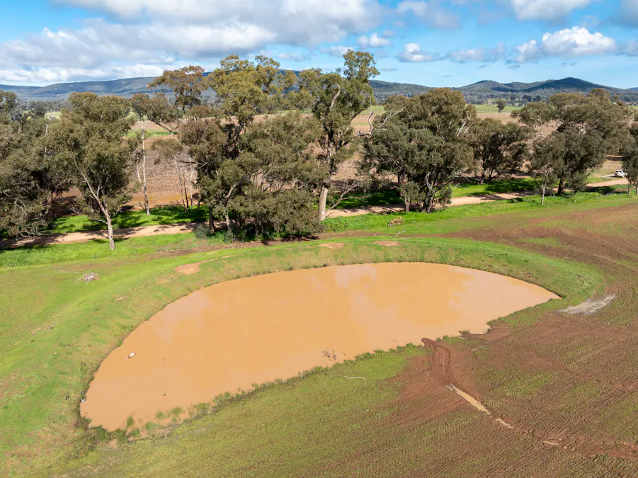 Lot 1 Sheep Station Road, Cowra, NSW, 2794 - Image 12