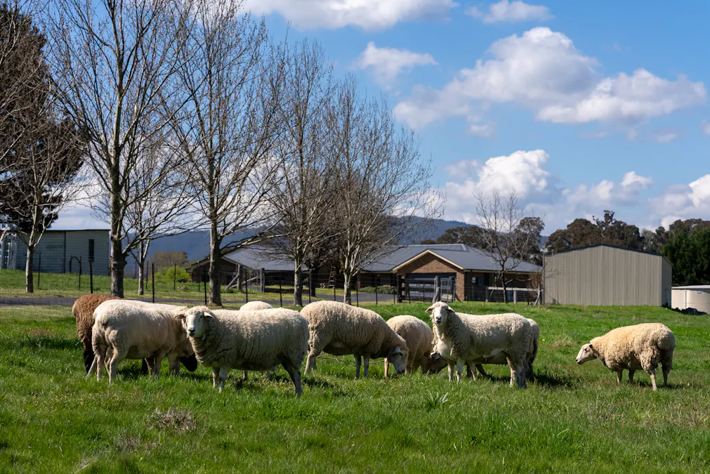 2885 Tarana Road, Tarana, NSW, 2787 - Image 28