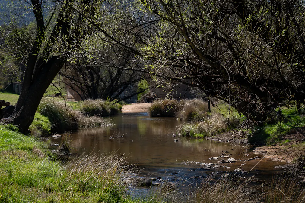2885 Tarana Road, Tarana, NSW, 2787 - Image 24
