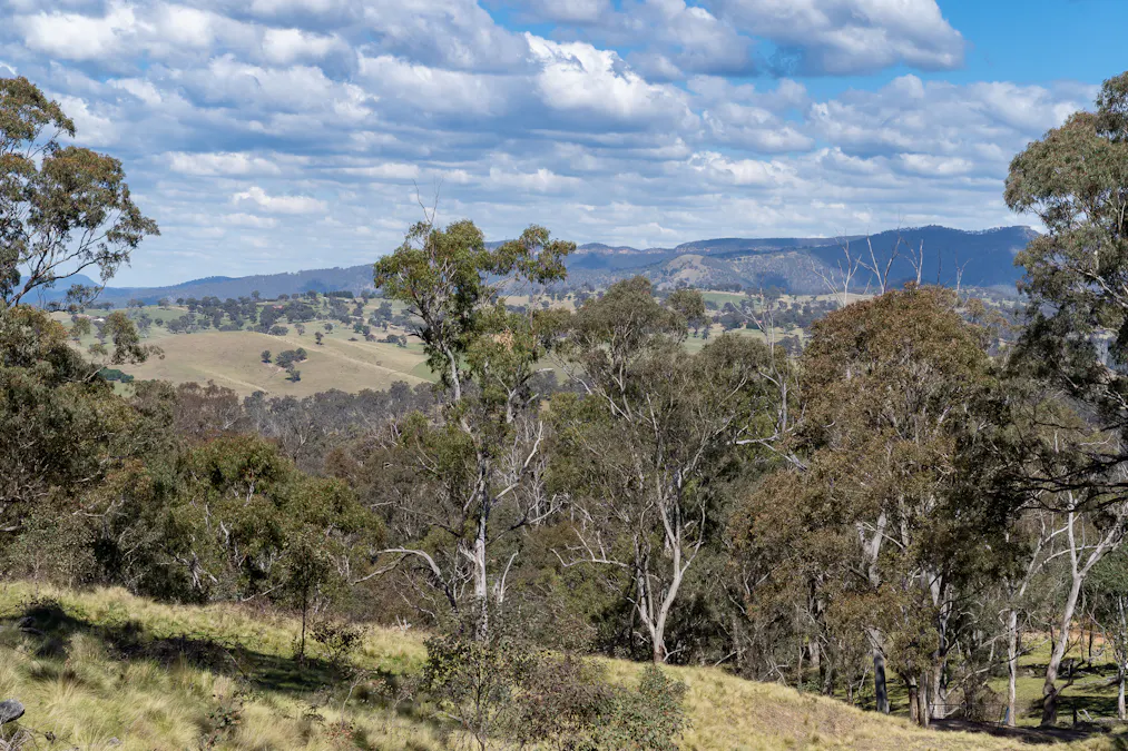 136 Lowther Siding Road, Lowther, NSW, 2790 - Image 23