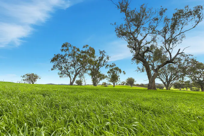 9091 Mitchell Highway, Wellington, NSW, 2820