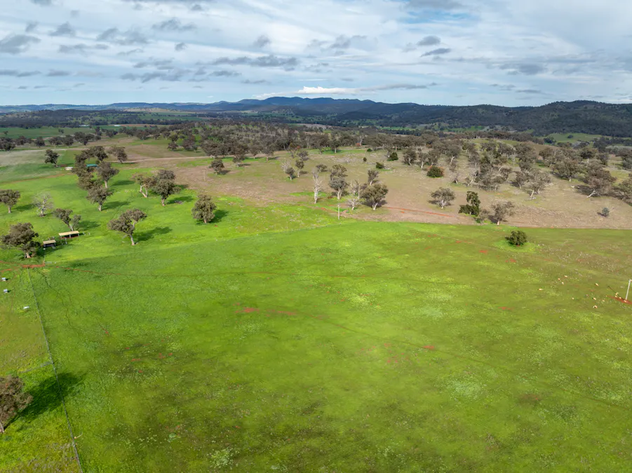 9091 Mitchell Highway, Wellington, NSW, 2820 - Image 25