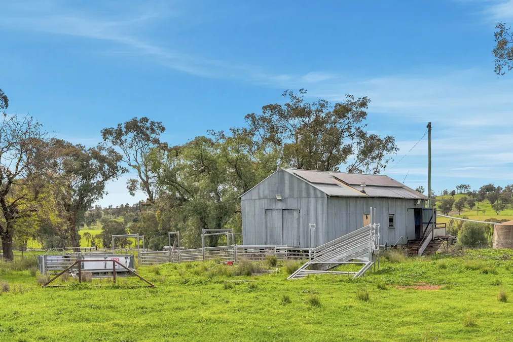 9091 Mitchell Highway, Wellington, NSW, 2820 - Image 14