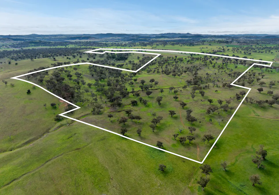 9091 Mitchell Highway, Wellington, NSW, 2820 - Image 31
