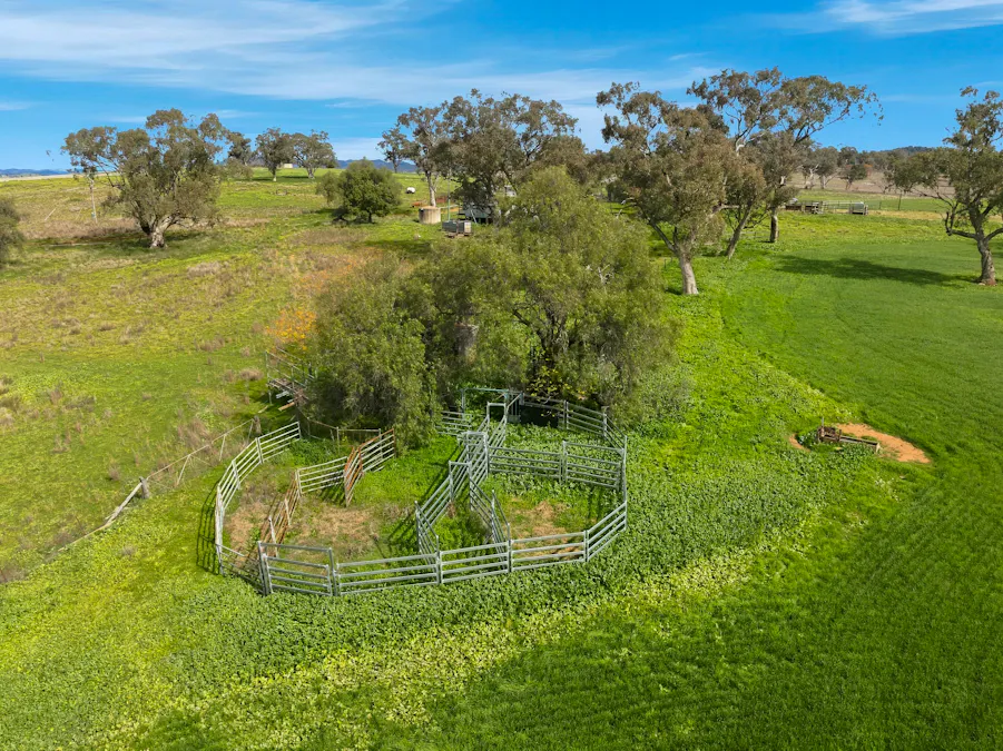 9091 Mitchell Highway, Wellington, NSW, 2820 - Image 12