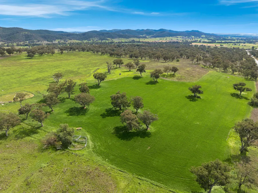 9091 Mitchell Highway, Wellington, NSW, 2820 - Image 6
