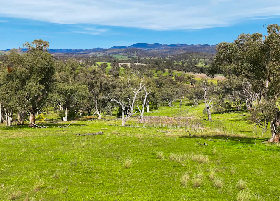 9091 Mitchell Highway, Wellington, NSW, 2820 - Image 24