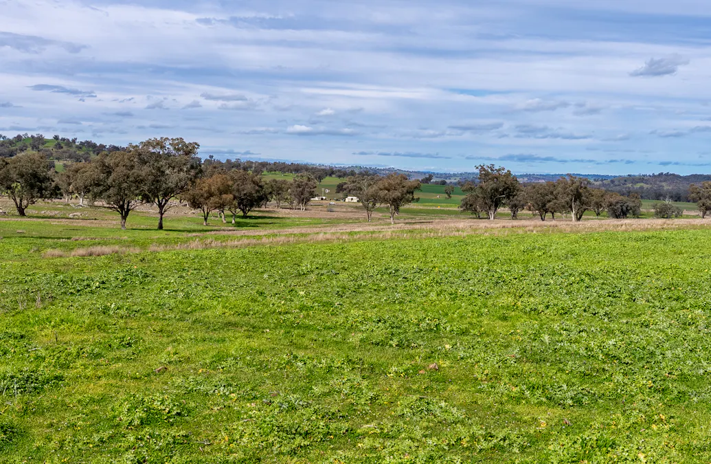 9091 Mitchell Highway, Wellington, NSW, 2820 - Image 26