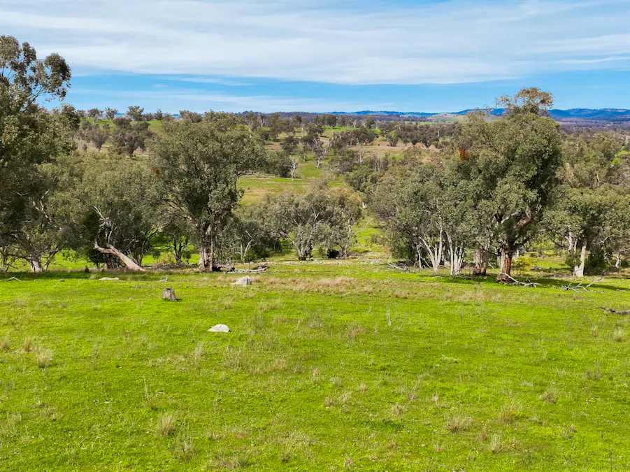 9091 Mitchell Highway, Wellington, NSW, 2820 - Image 23