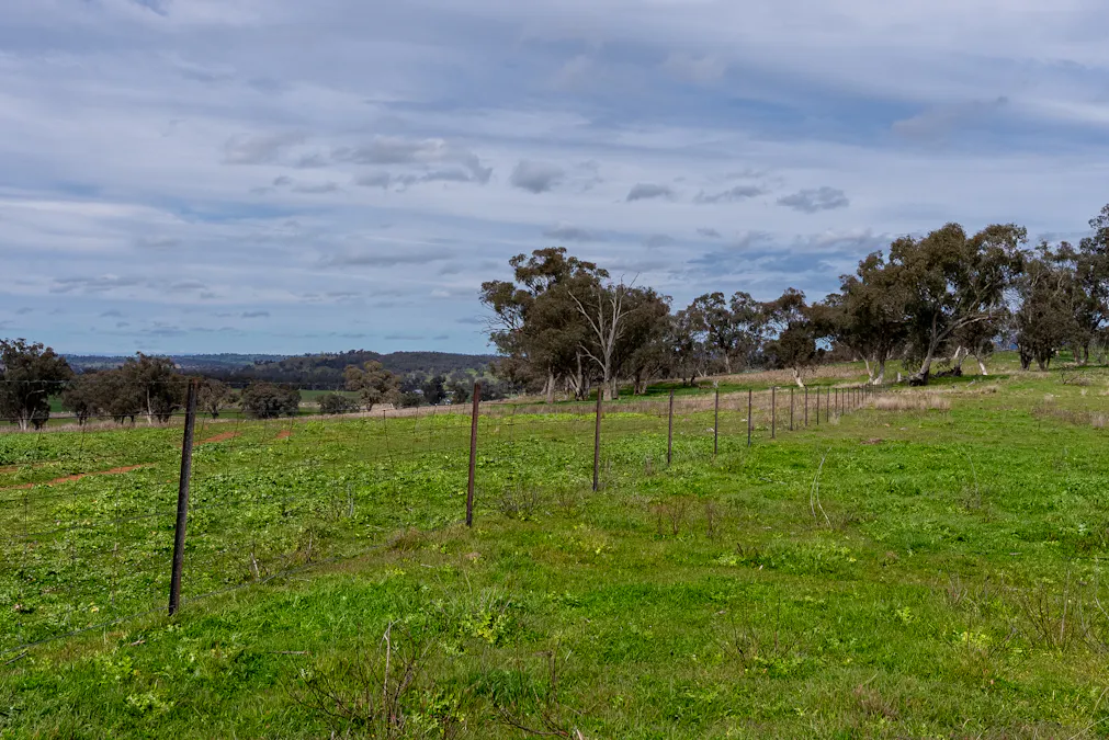 9091 Mitchell Highway, Wellington, NSW, 2820 - Image 8