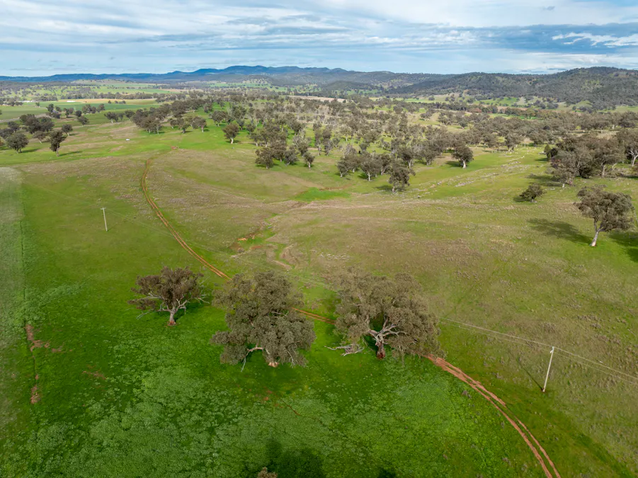 9091 Mitchell Highway, Wellington, NSW, 2820 - Image 28