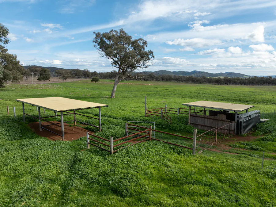 9091 Mitchell Highway, Wellington, NSW, 2820 - Image 11