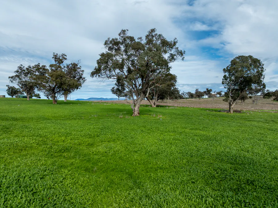 9091 Mitchell Highway, Wellington, NSW, 2820 - Image 21