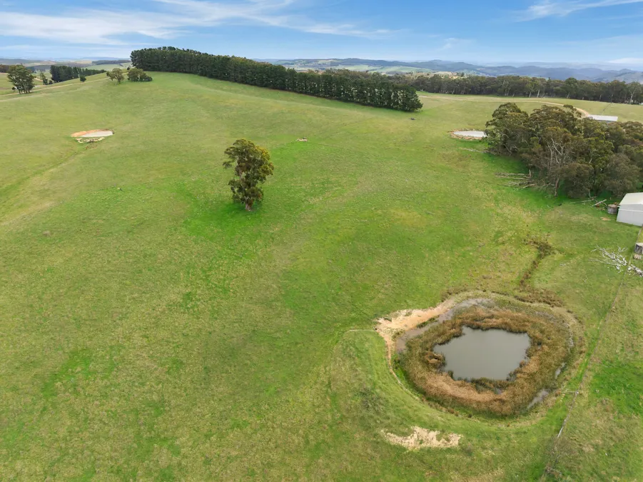 354 Faugha Ballaugha Road, Oberon, NSW, 2787 - Image 20