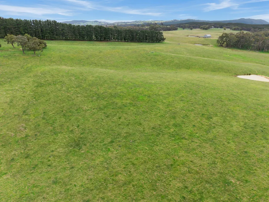354 Faugha Ballaugha Road, Oberon, NSW, 2787 - Image 22