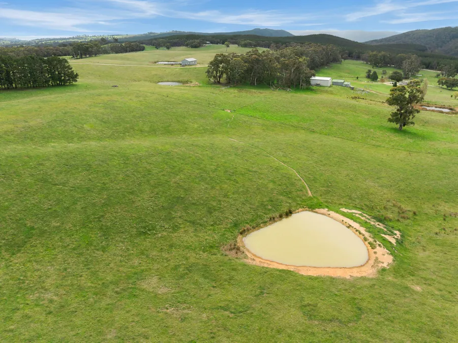 354 Faugha Ballaugha Road, Oberon, NSW, 2787 - Image 23