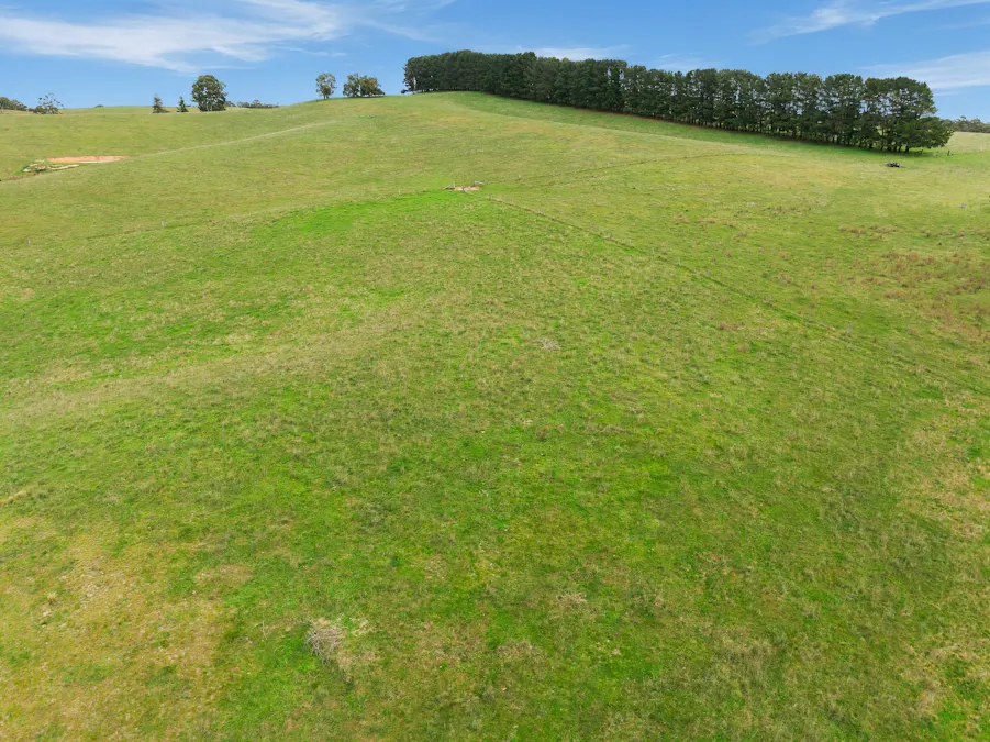 354 Faugha Ballaugha Road, Oberon, NSW, 2787 - Image 25