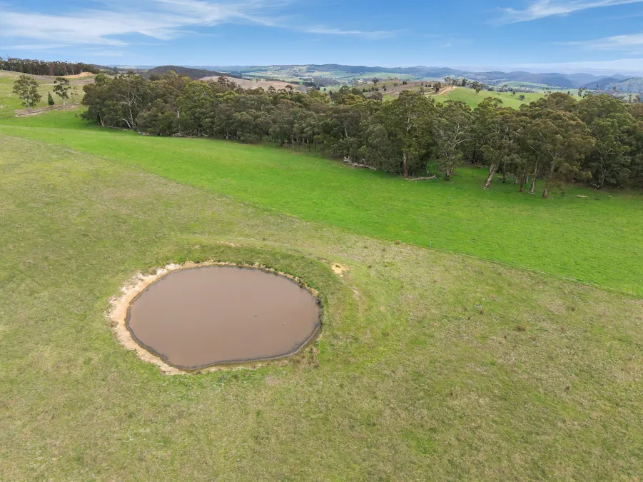 354 Faugha Ballaugha Road, Oberon, NSW, 2787 - Image 26