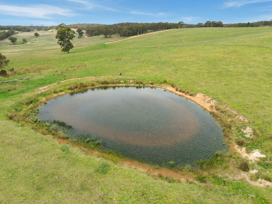 354 Faugha Ballaugha Road, Oberon, NSW, 2787 - Image 28