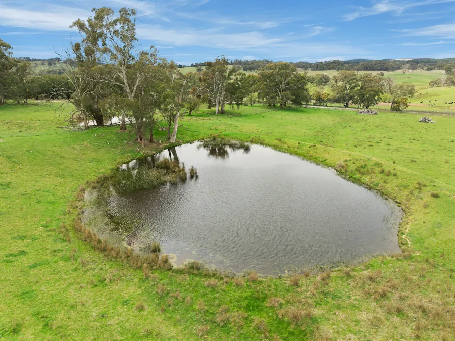 354 Faugha Ballaugha Road, Oberon, NSW, 2787 - Image 15