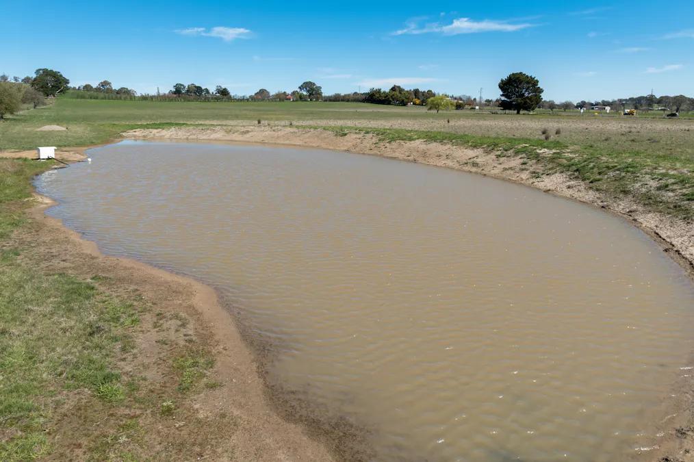1334 Millthorpe Road, Millthorpe, NSW, 2798 - Image 29