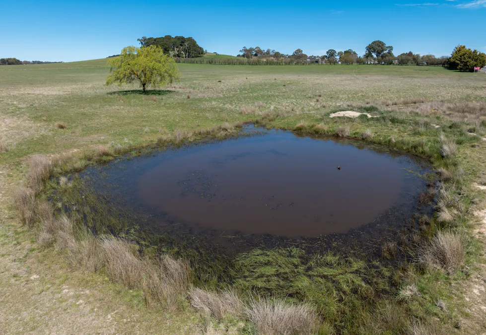 1334 Millthorpe Road, Millthorpe, NSW, 2798 - Image 28