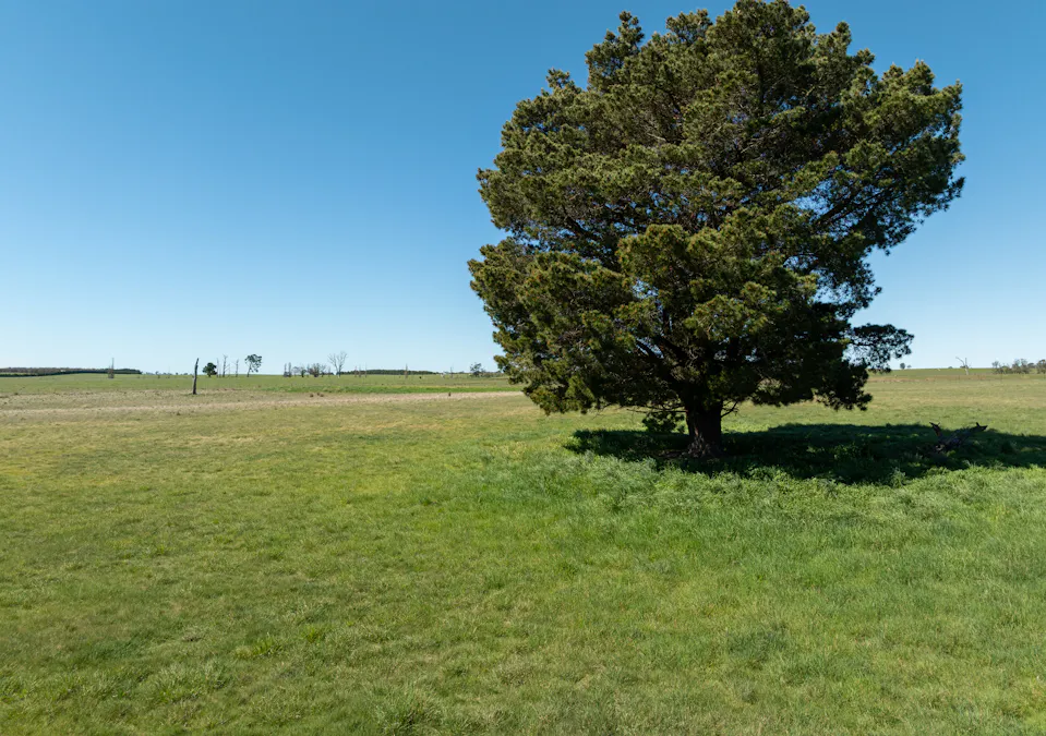 1334 Millthorpe Road, Millthorpe, NSW, 2798 - Image 32