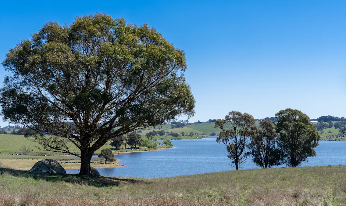 165 Harveys Road, Oberon, NSW, 2787 - Image 1