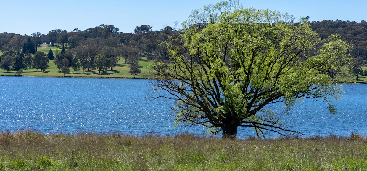 165 Harveys Road, Oberon, NSW, 2787 - Image 19