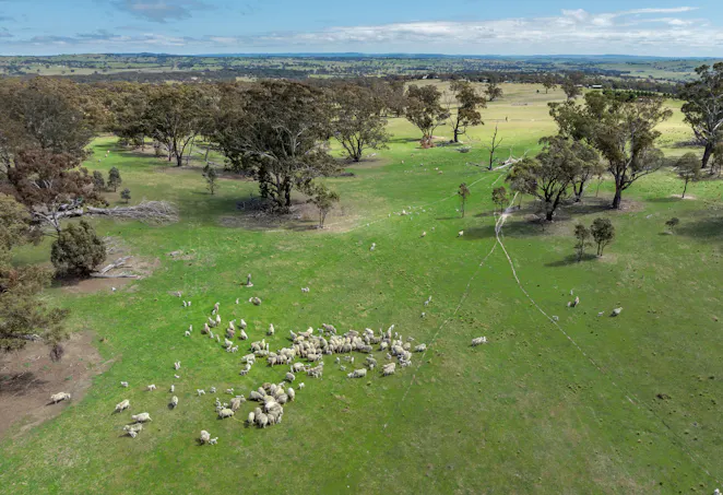 1291 Carlwood Road, O'connell, NSW, 2795