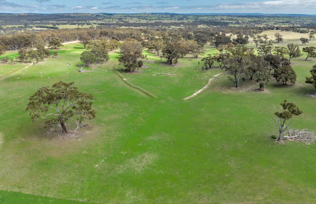 1291 Carlwood Road, O'connell, NSW, 2795 - Image 6
