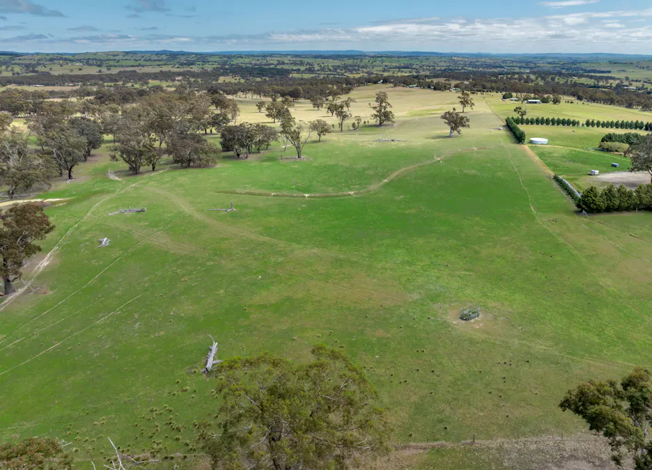 1291 Carlwood Road, O'connell, NSW, 2795 - Image 8